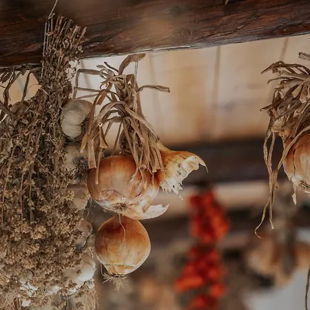 Casa Giuseppina 酒店 Sant'Angelo (Isola d'Ischia)